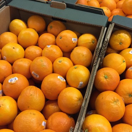 Surplus oranges from AMT fruit