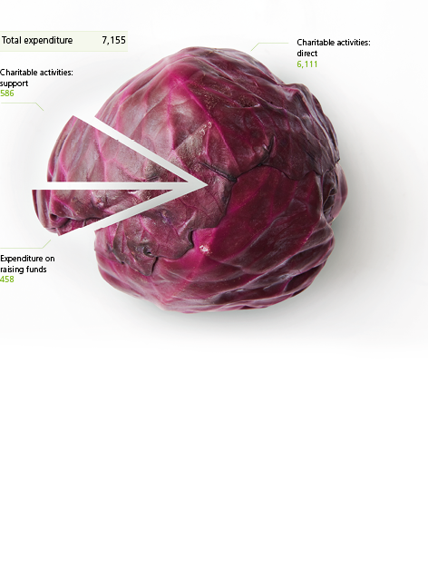 7 155 Total expenditure Charitable activities  support 586 Expenditure on raising funds 458 Charitable activities  di   