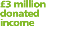  3 million donated income
