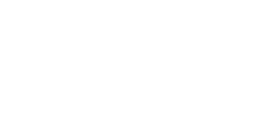 Independent auditor s report