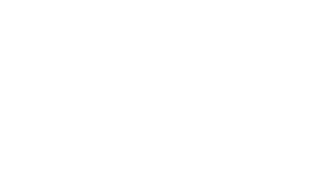 Notes to the financial statements