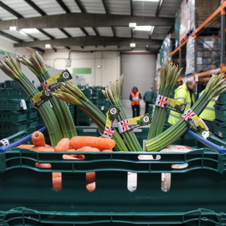 Daffodils in the FareShare warehouse