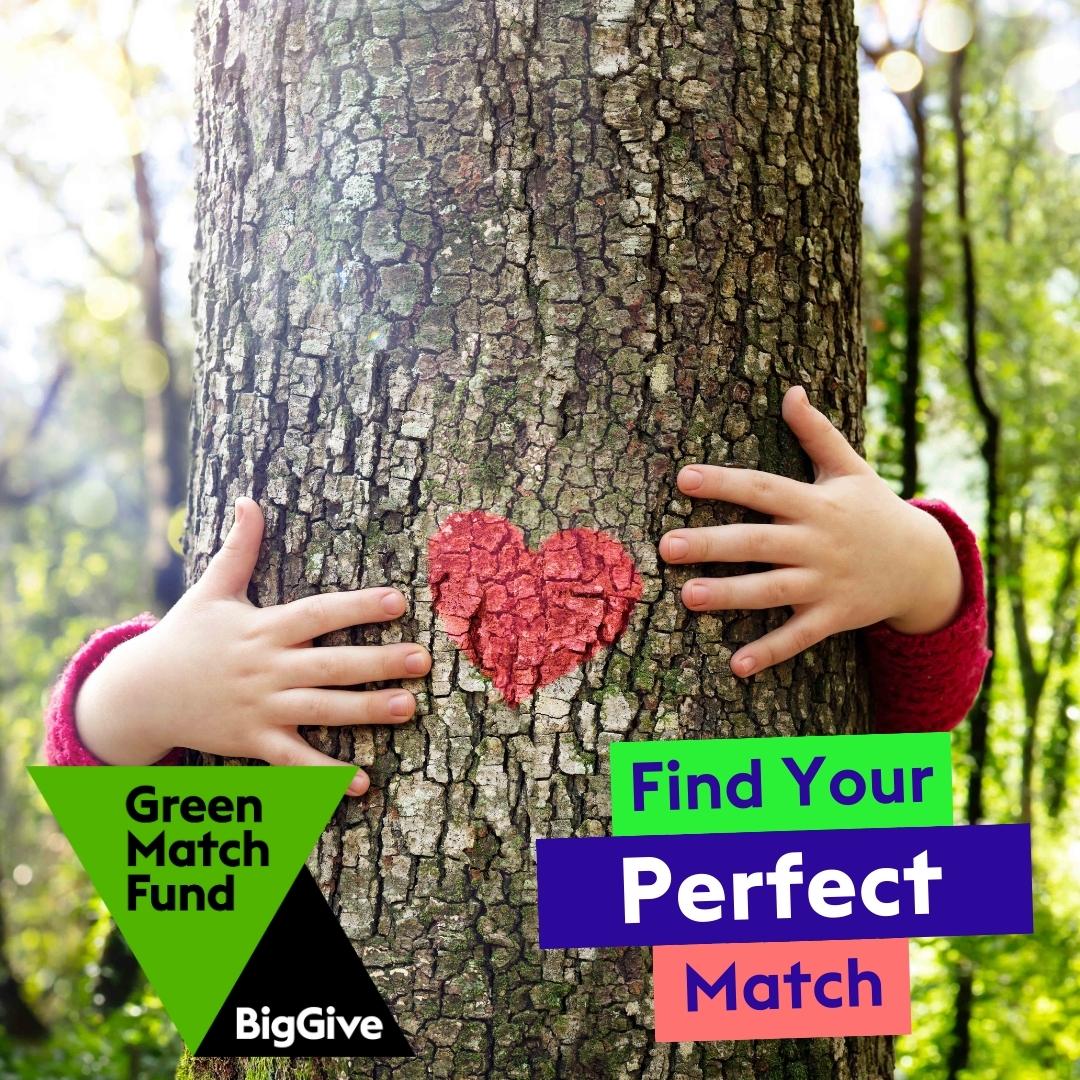 Double our impact on food waste by doubling your donations with the Big